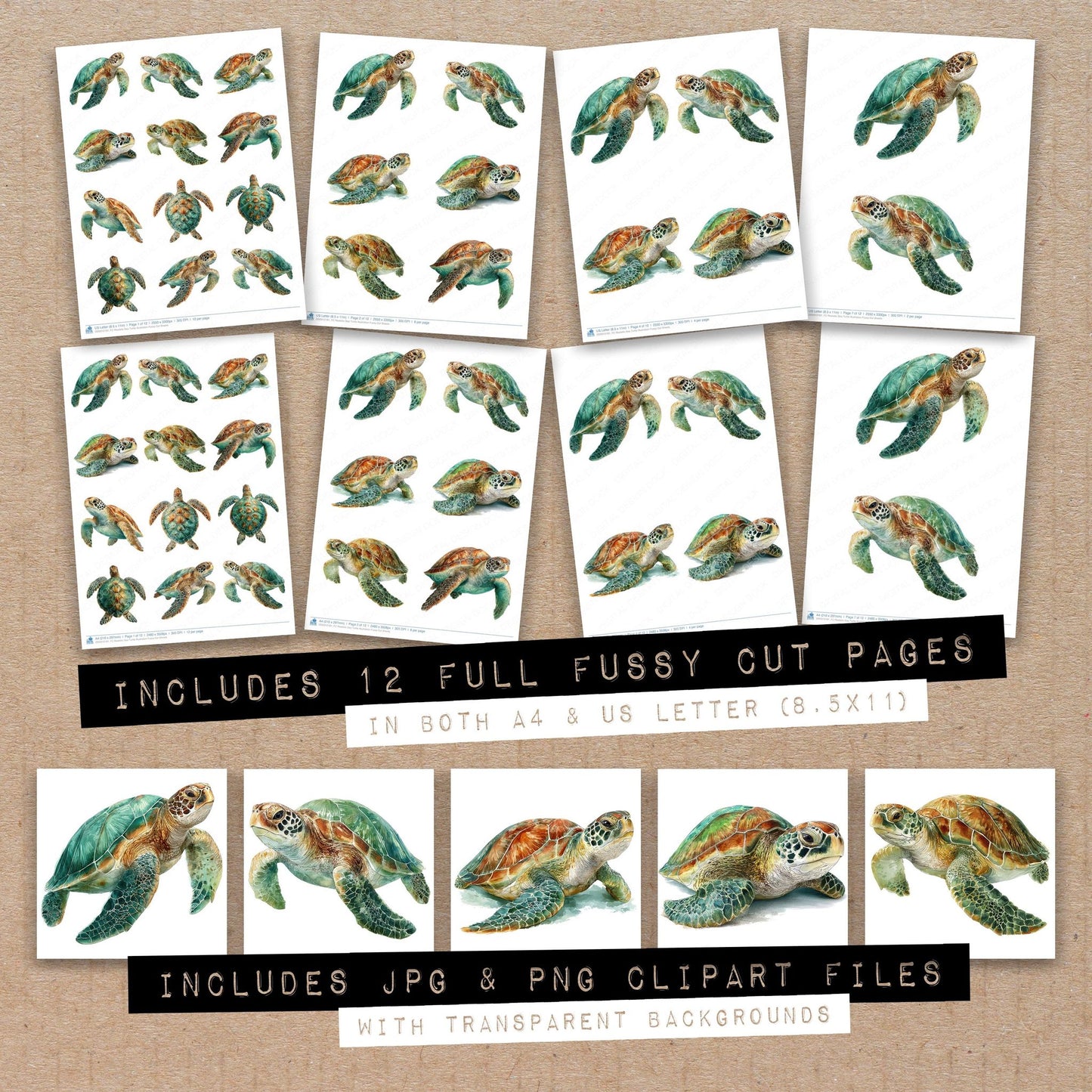 Full collection view of Realistic Sea Turtle Illustration fussy cut sheets with bonus clipart JPG and PNG files