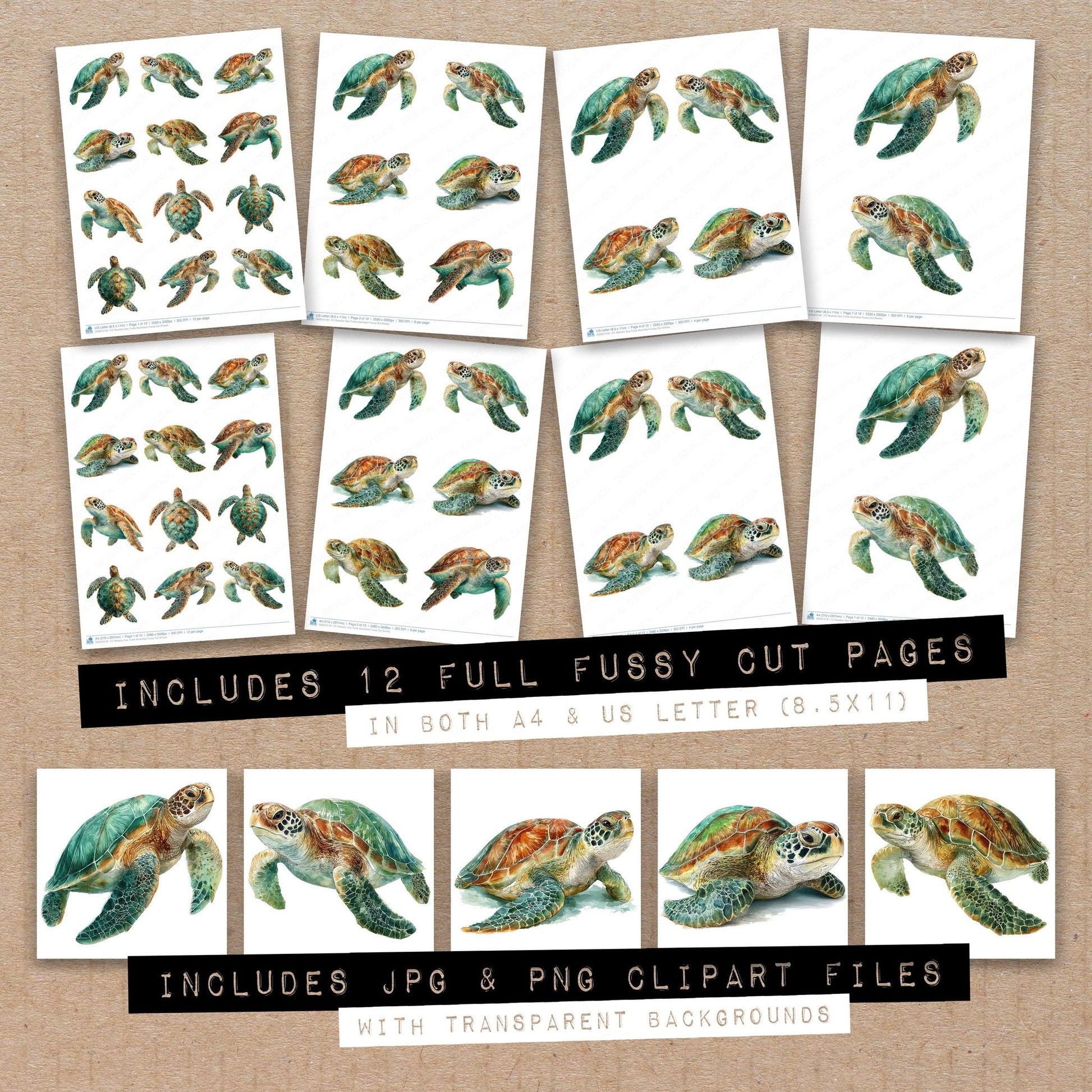 Full collection view of Realistic Sea Turtle Illustration fussy cut sheets with bonus clipart JPG and PNG files