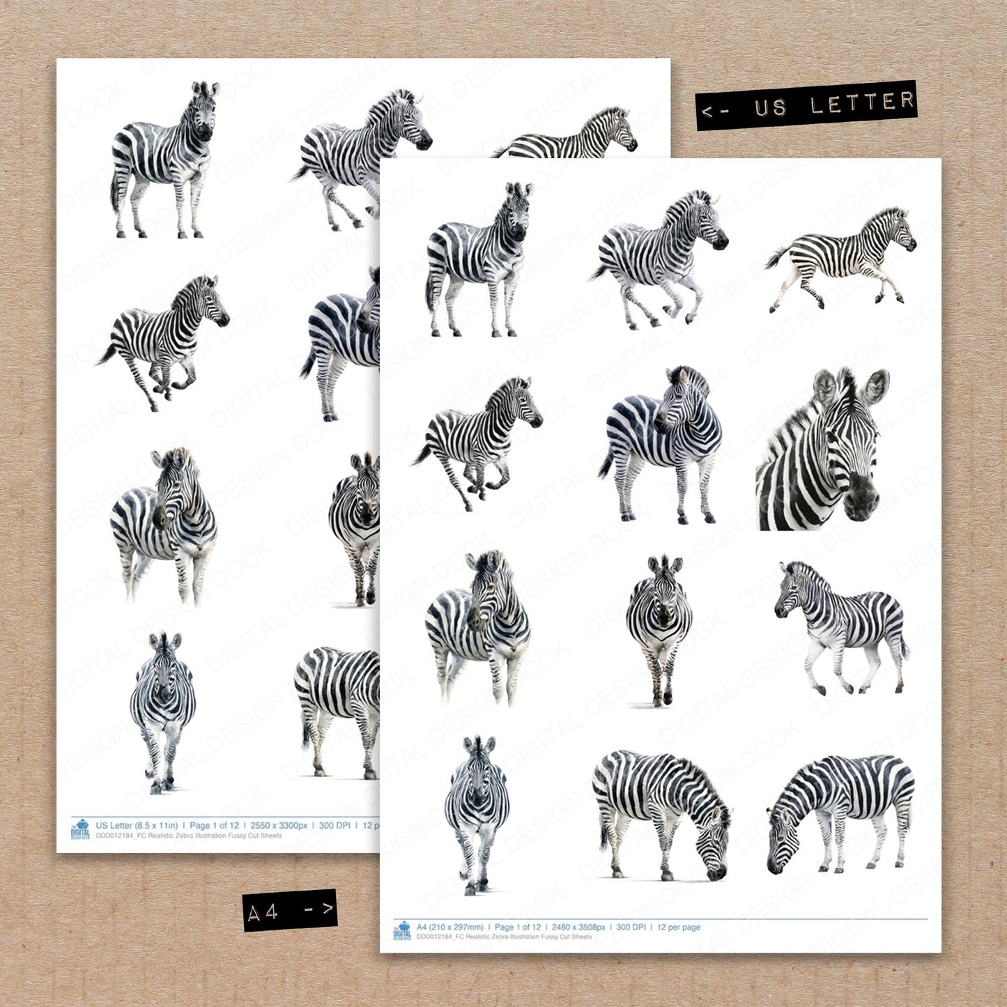 A4 and US Letter format comparison showing Realistic Zebra Illustration fussy cut pages for print and cut crafting