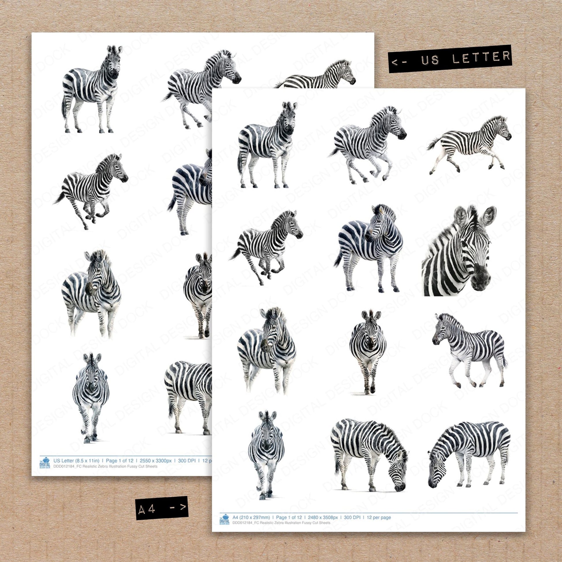 A4 and US Letter format comparison showing Realistic Zebra Illustration fussy cut pages for print and cut crafting
