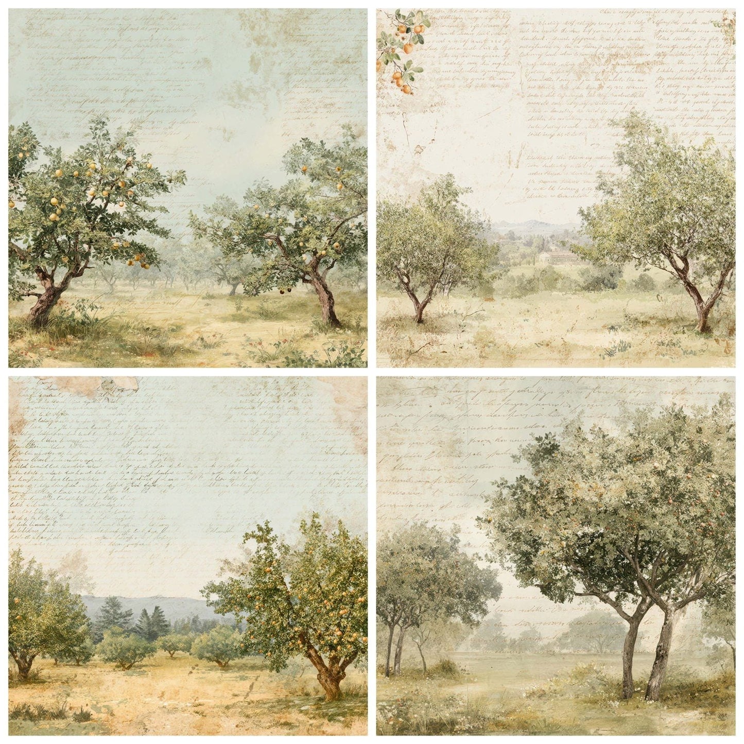 Vintage Orchard Tree Scene Digital Paper Pack (DDD012196)