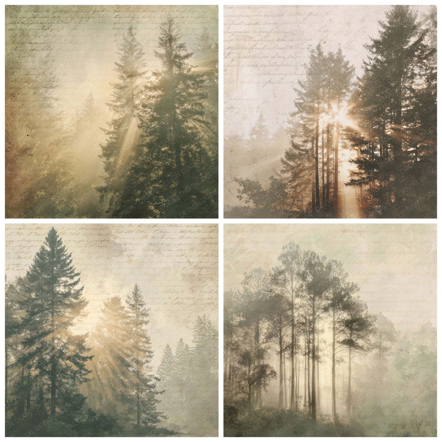 Vintage Sunlight Forest Scene Digital Paper Pack (DDD012202)