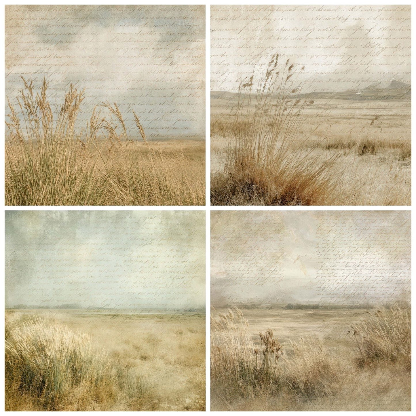 Old Prairie Grassland Scene Digital Paper Pack (DDD012211)