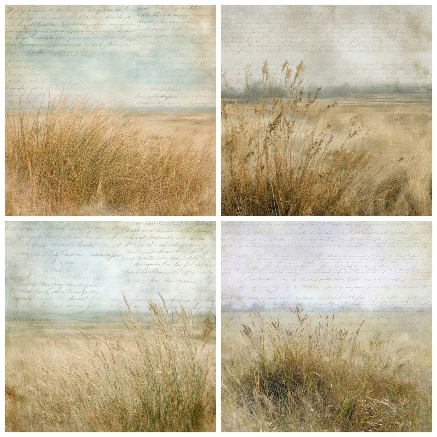 Old Prairie Grassland Scene Digital Paper Pack (DDD012211)