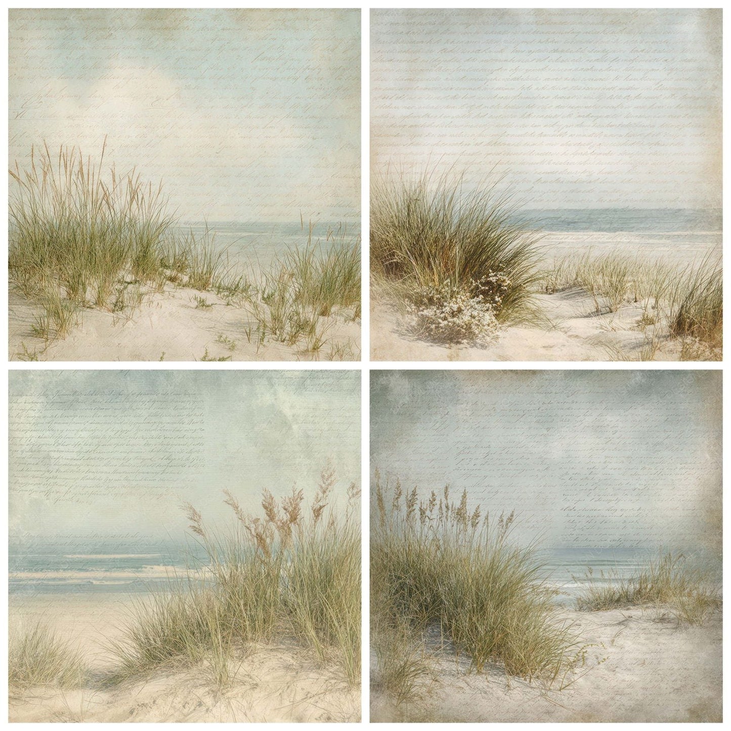 Vintage Coastal Dune Grass Scene Digital Paper Pack (DDD012214)