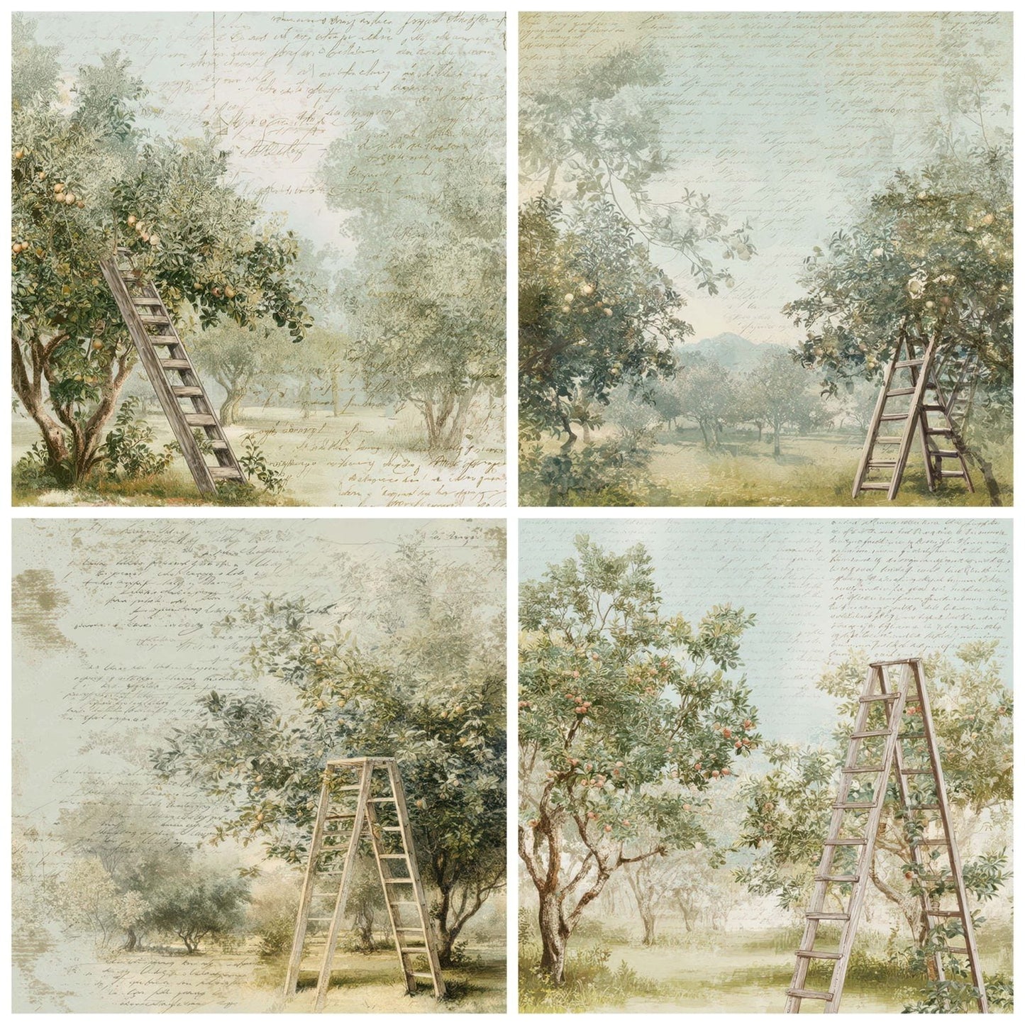 Vintage Orchard Ladder Scene Digital Paper Pack (DDD012221)