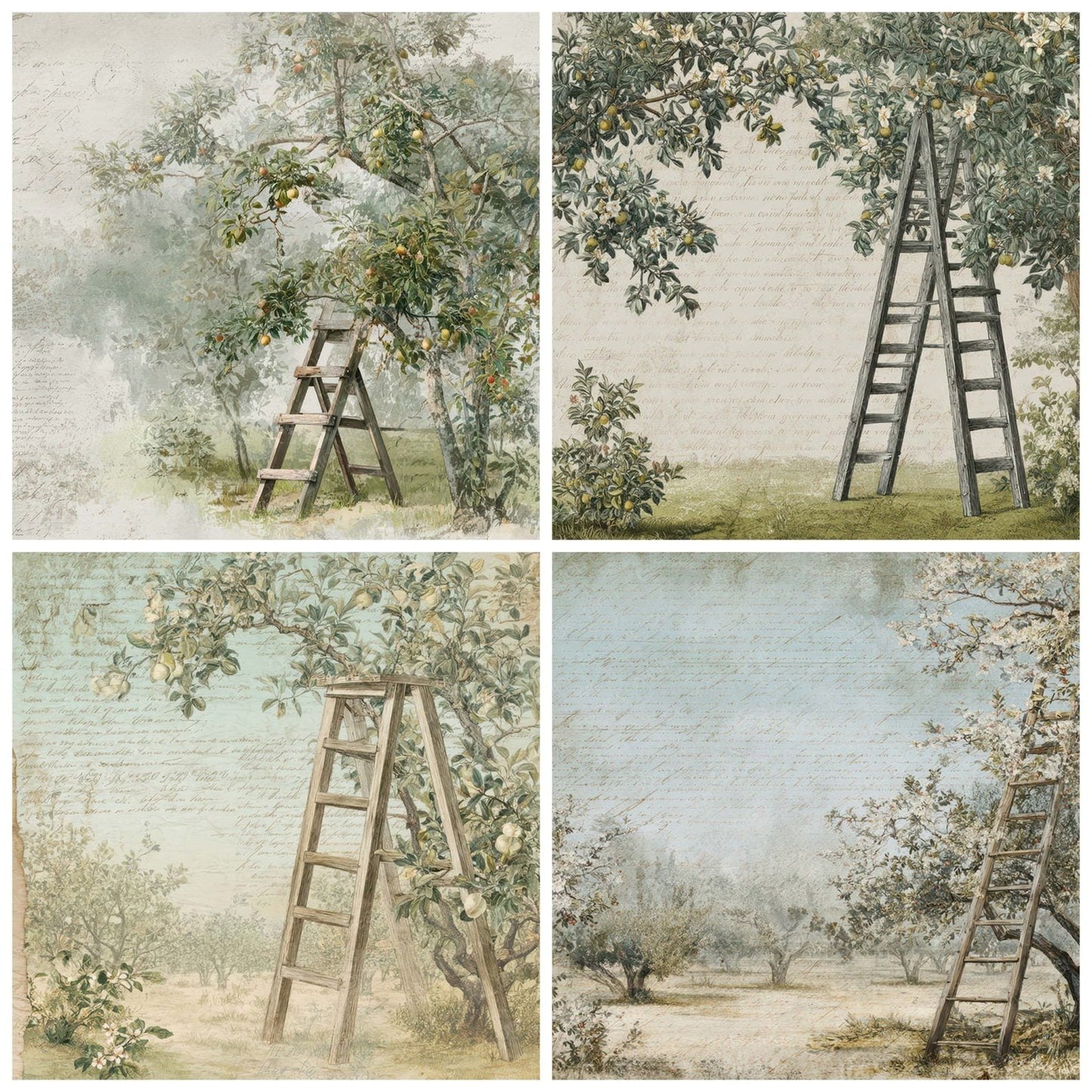 Vintage Orchard Ladder Scene Digital Paper Pack (DDD012221)