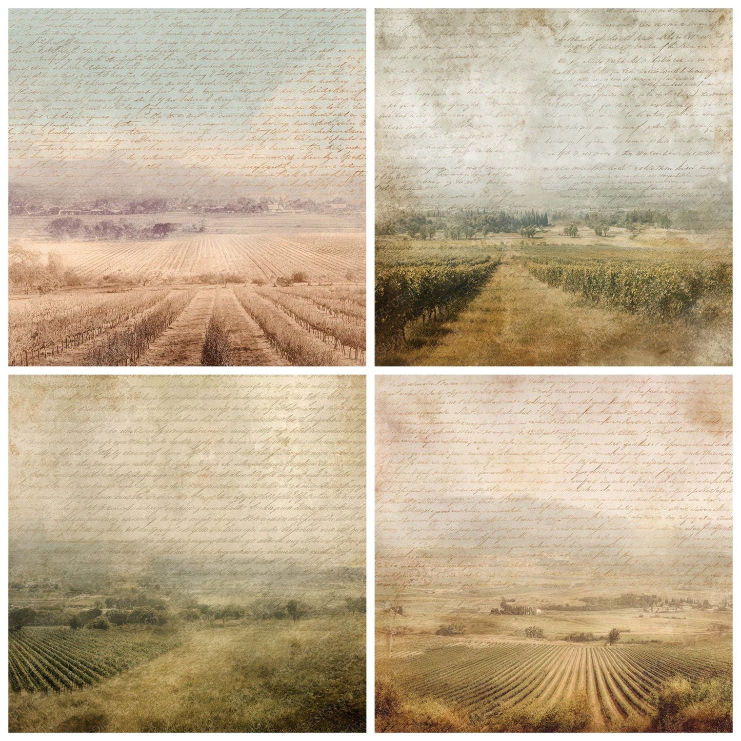 Vintage Vineyard Landscape Scene Digital Paper Pack (DDD012223)