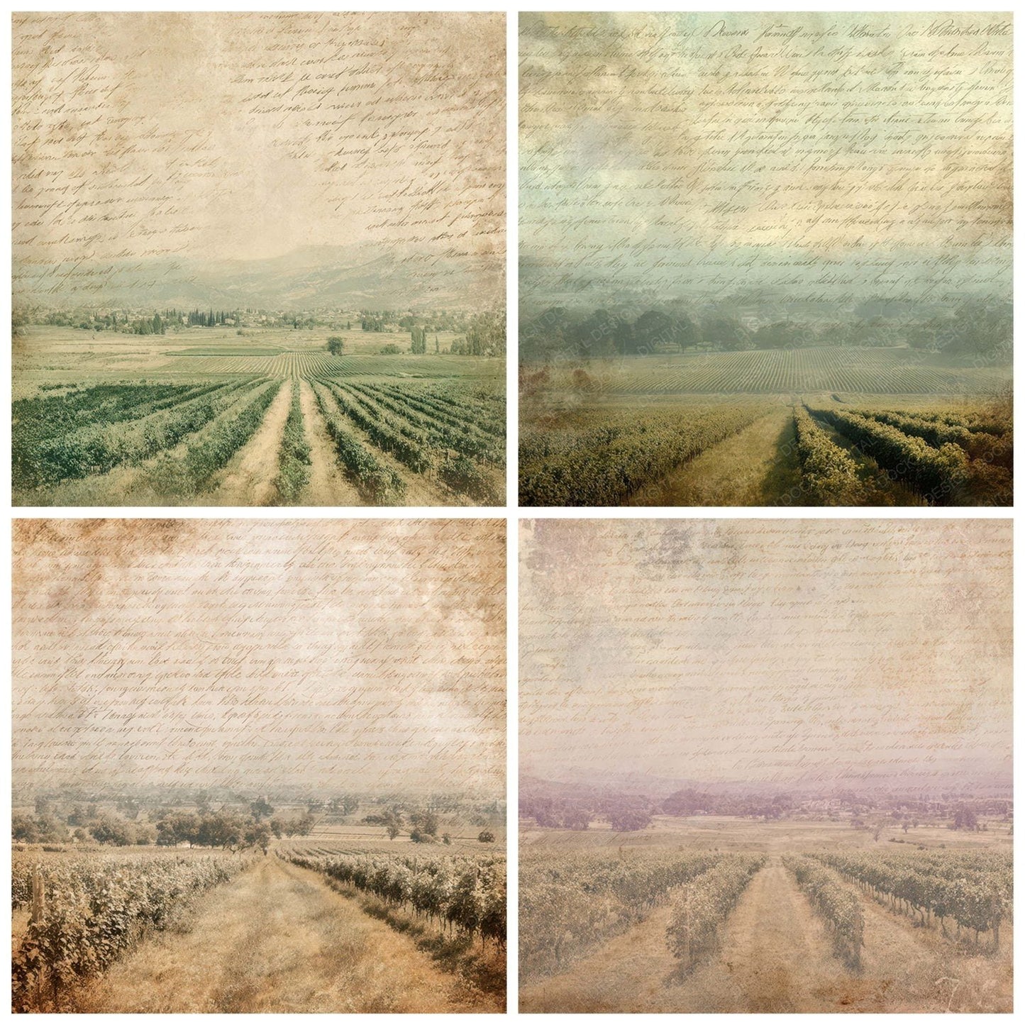 Vintage Vineyard Landscape Scene Digital Paper Pack (DDD012223)