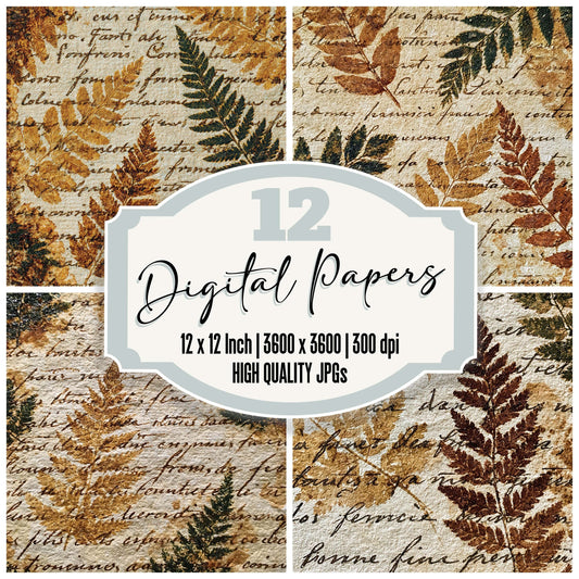 Vintage Paper Fern Script Ivory Digital Paper Pack (DDD012345)