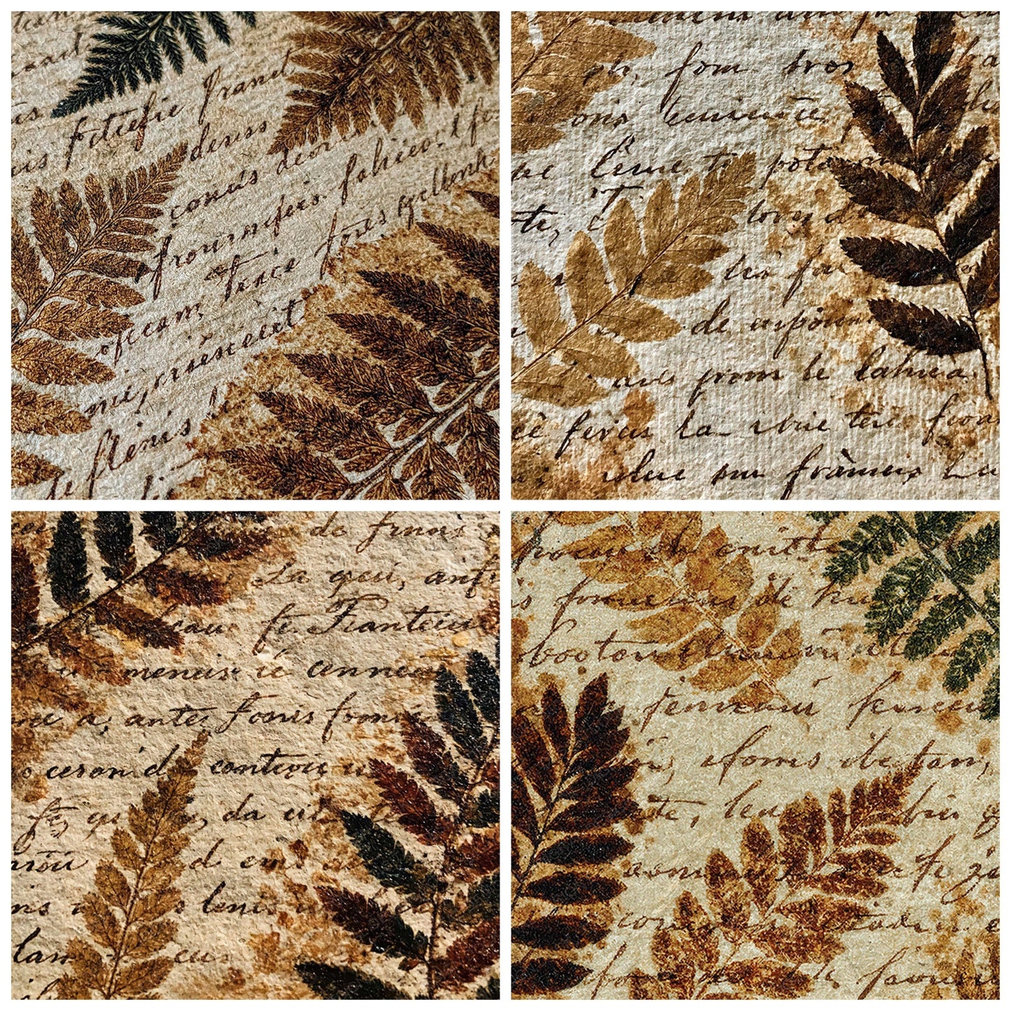Vintage Paper Fern Script Ivory Digital Paper Pack (DDD012345)