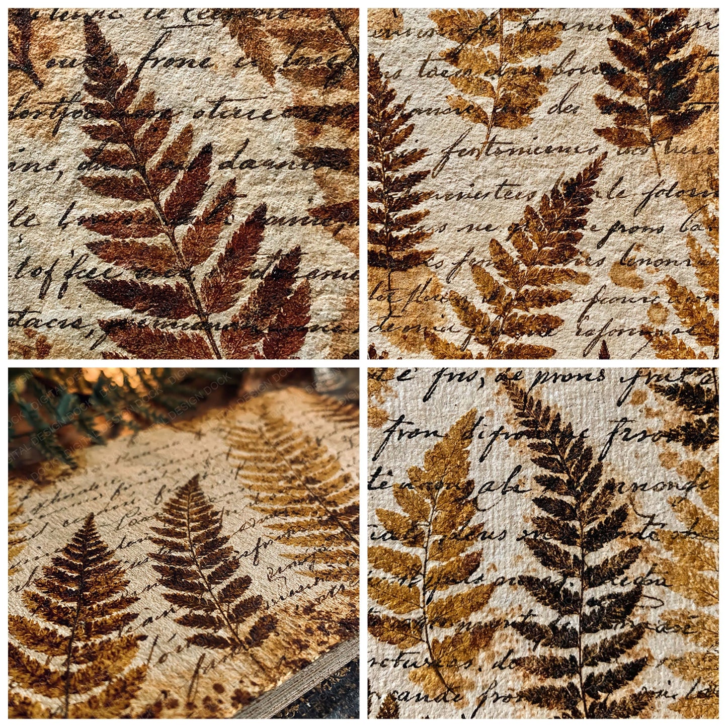Vintage Paper Fern Script Ivory Digital Paper Pack (DDD012345)