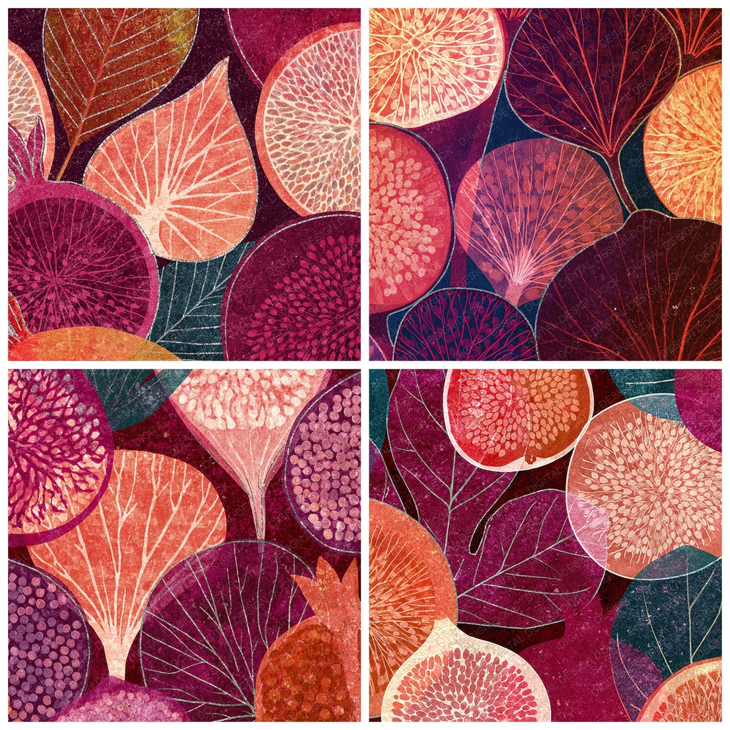 Xray Fig Pomegranate Coral Wine Digital Paper Pack (DDD012351)