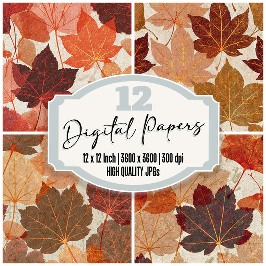 Xray Maple Leaves Rose Gold Blush Digital Paper Pack (DDD012355)