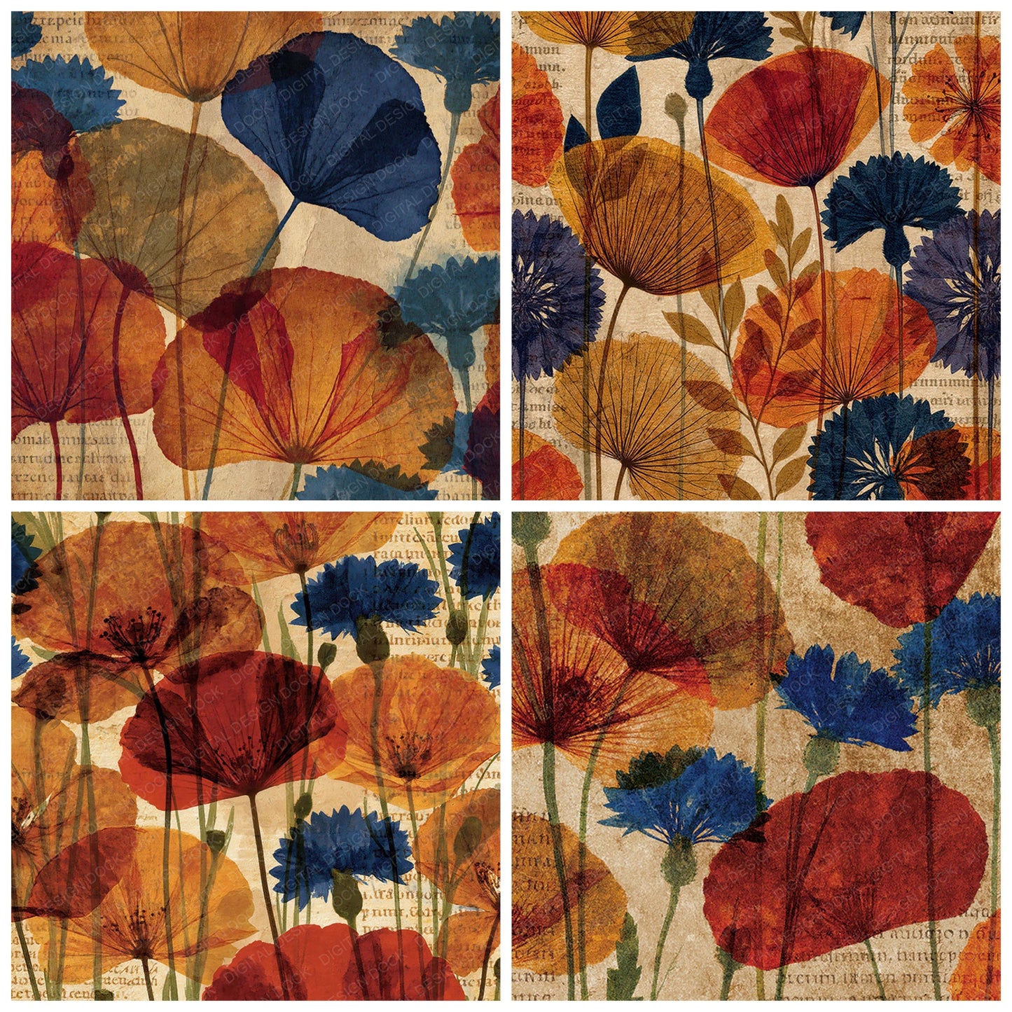 Xray Poppy Cornflower Sepia Amber Digital Paper Pack (DDD012360)