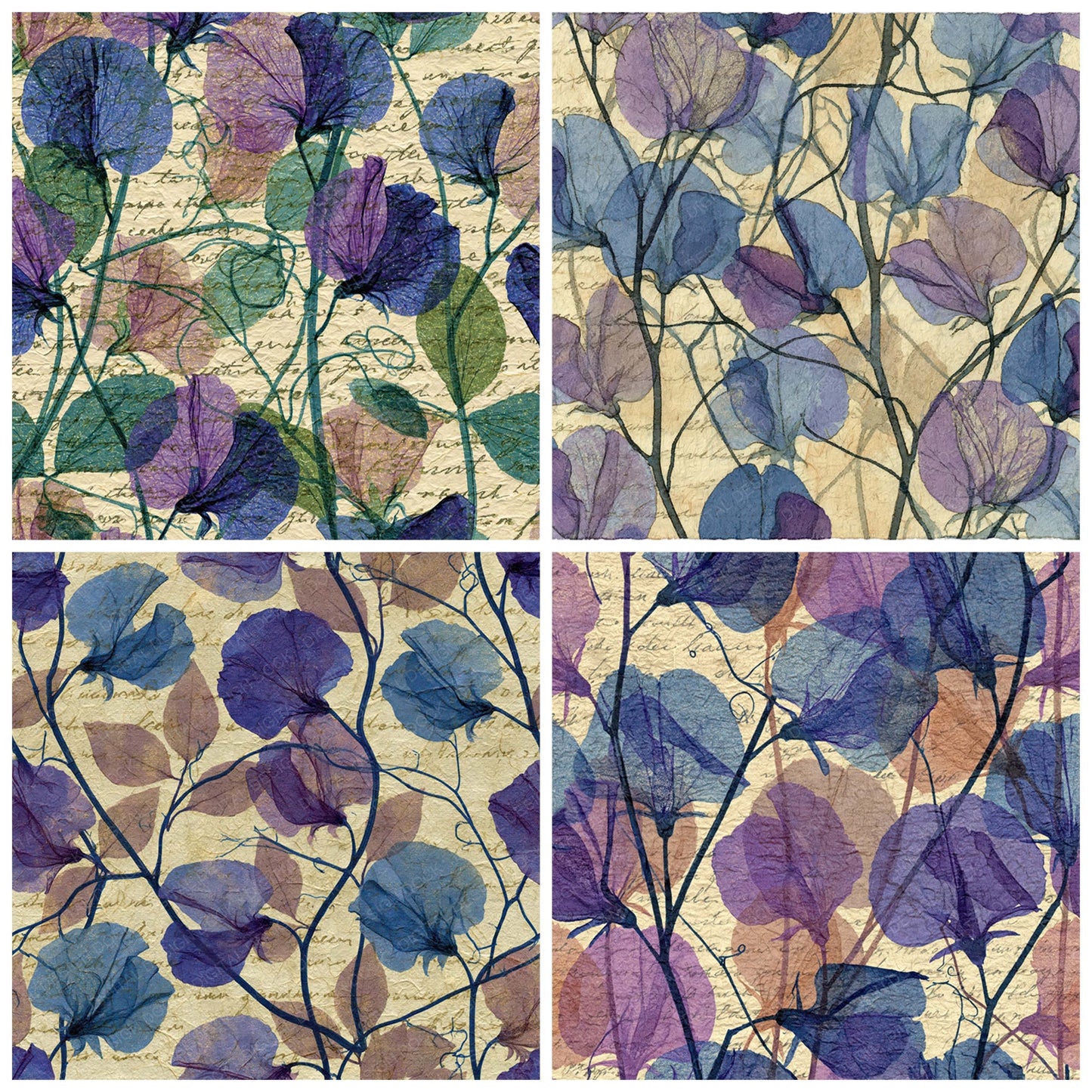 Xray Sweet Peas Tendrils Lilac Mauve Digital Paper Pack (DDD012363)