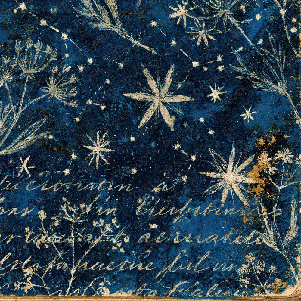 Vintage Paper Astronomer Indigo Silver Digital Paper Pack (DDD012372)