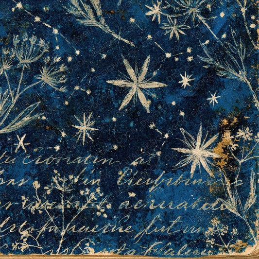 Vintage Paper Astronomer Indigo Silver Digital Paper Pack (DDD012372)
