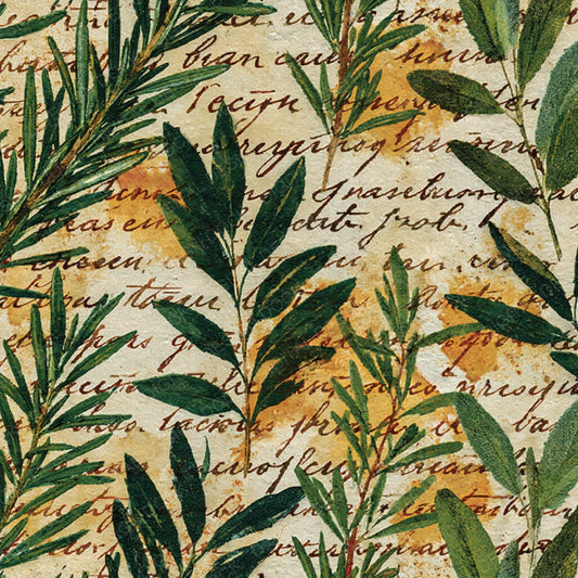 Vintage Paper Recipe Herb Buttermilk Digital Paper Pack (DDD012381)