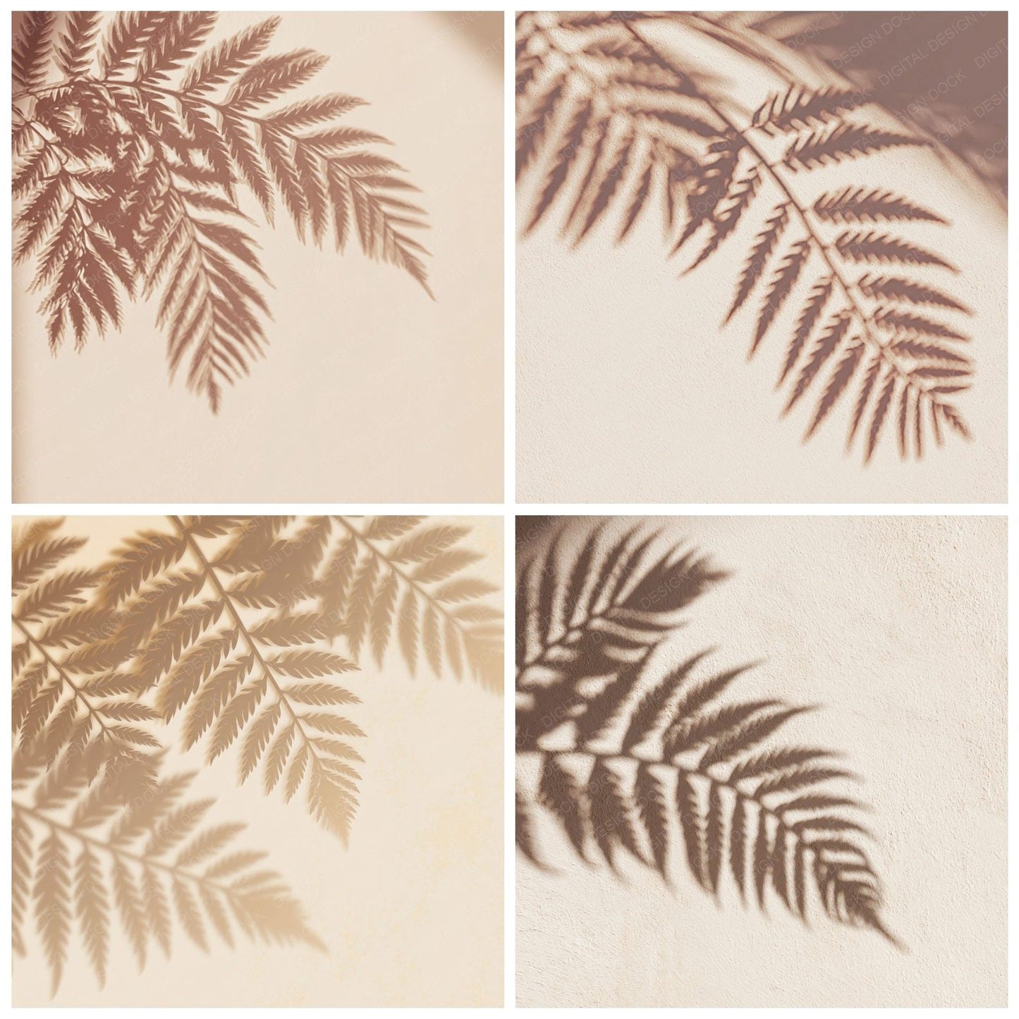 Shadow Fern Sand Sienna Digital Paper Pack (DDD012495)