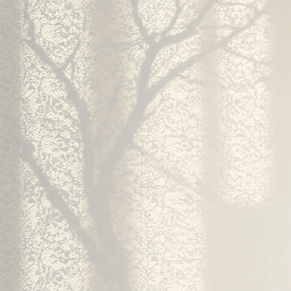 Shadow Lace Ivory Dove Digital Paper Pack (DDD012497)