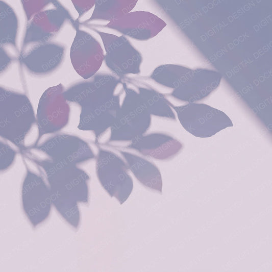 Shadow Petals Lilac Plum Digital Paper Pack (DDD012502)