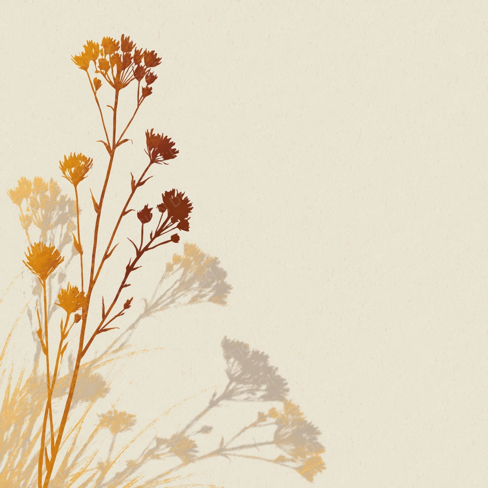 Shadow Wildflower Buttermilk Honey Digital Paper Pack (DDD012504)