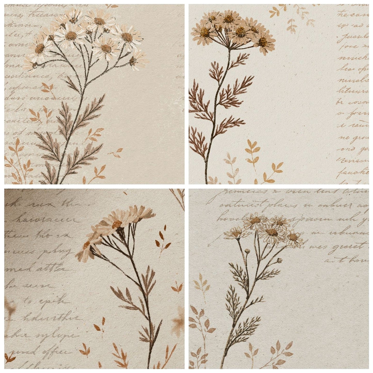 Woodblock Chamomile Script Bone Taupe Digital Paper Pack (DDD012507)