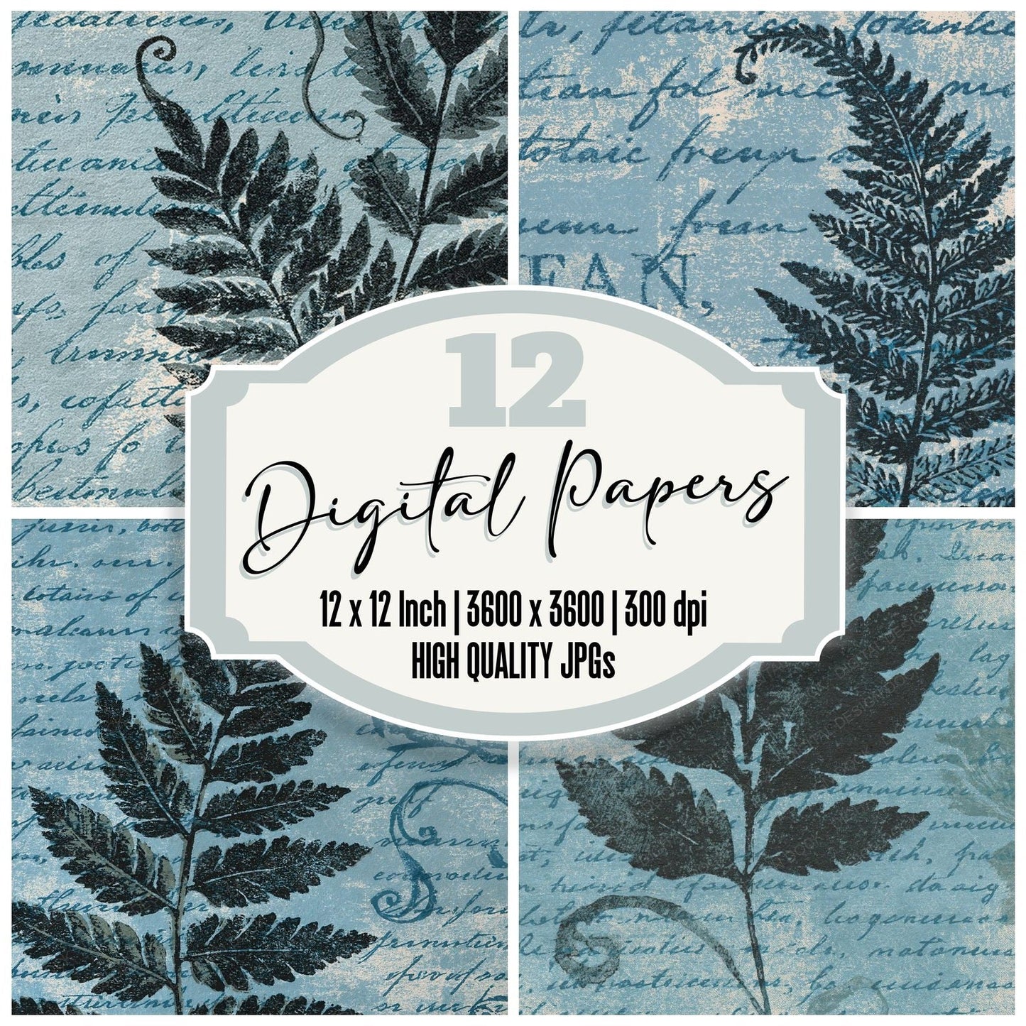 Woodblock Fern Script Charcoal Graphite Digital Paper Pack (DDD012511)
