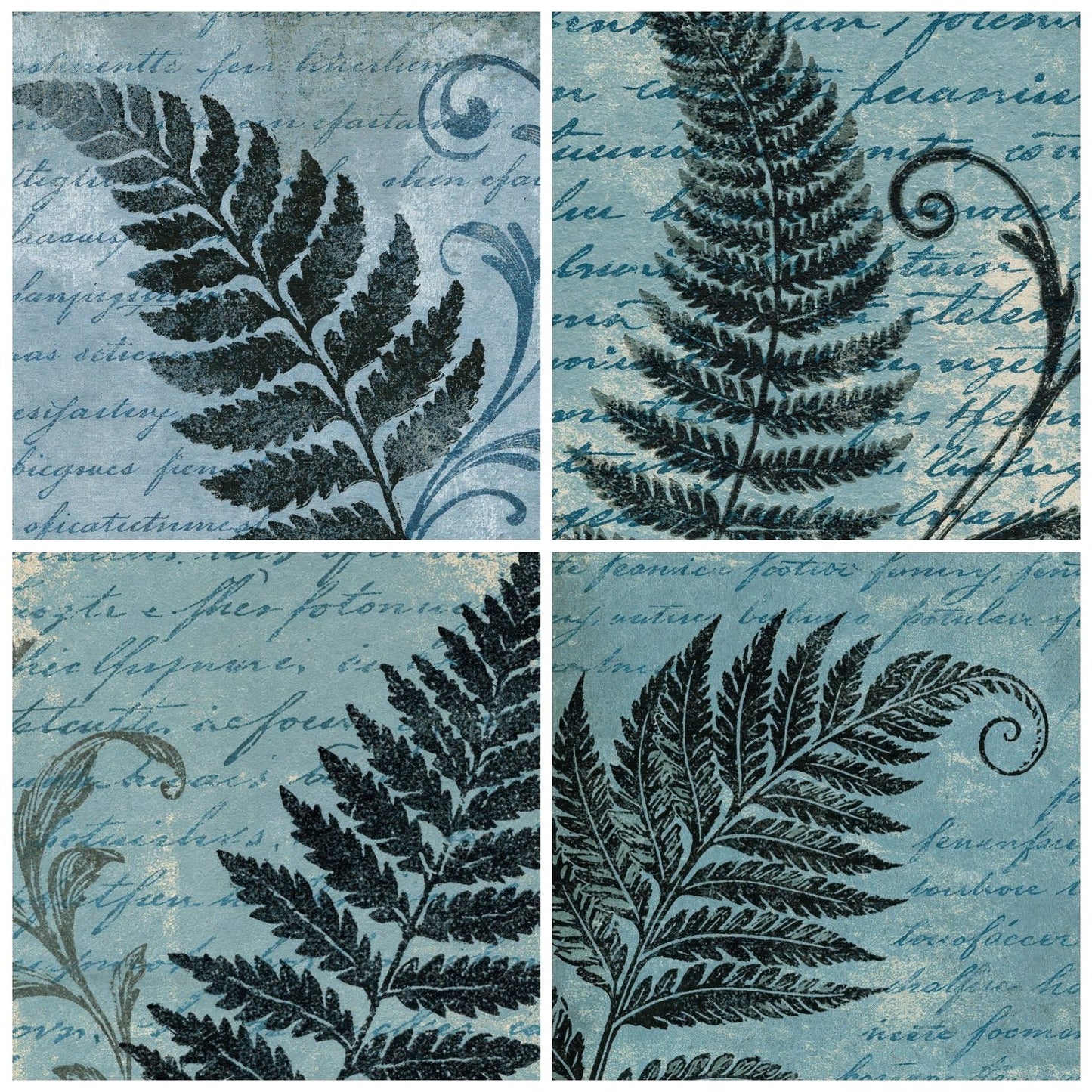 Woodblock Fern Script Charcoal Graphite Digital Paper Pack (DDD012511)