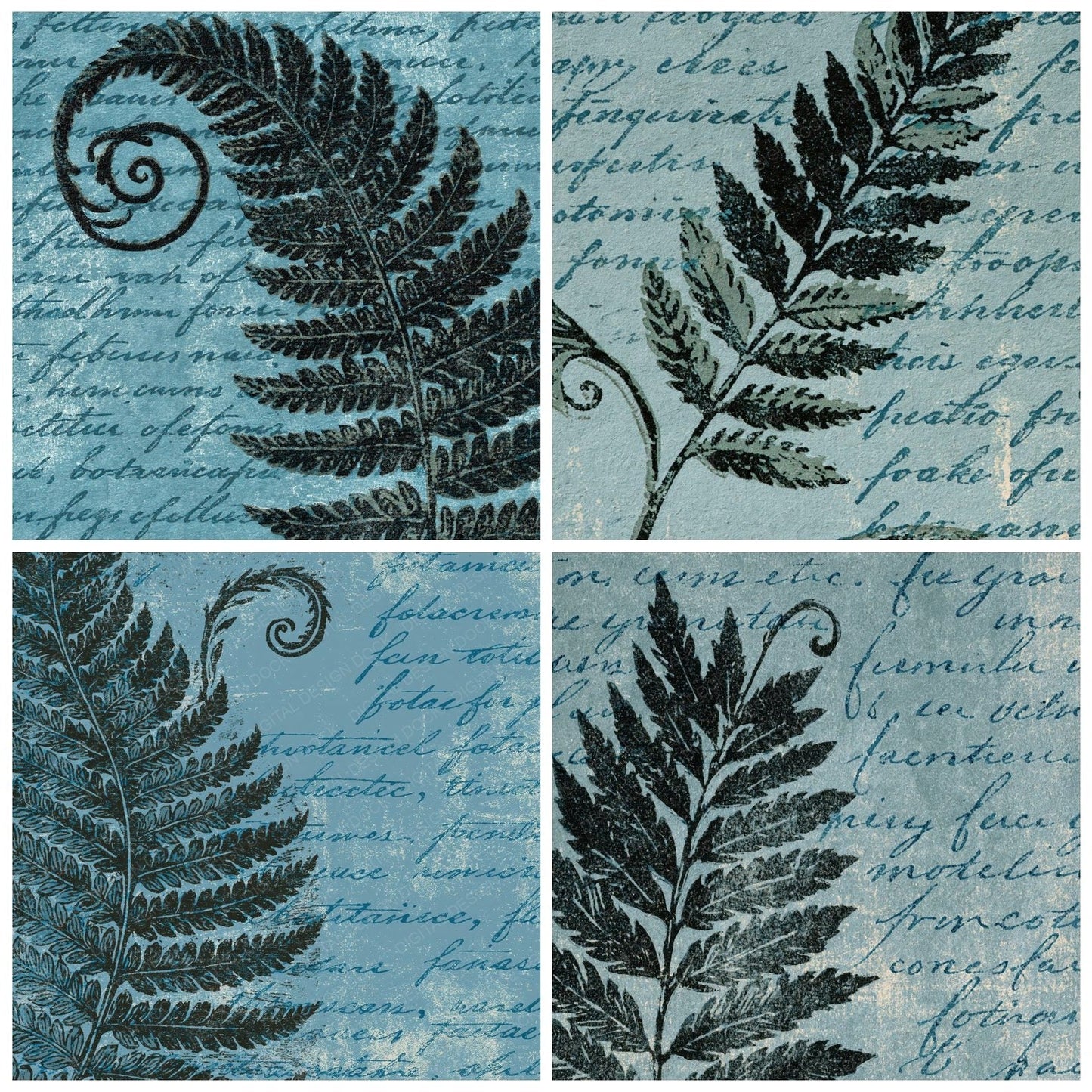 Woodblock Fern Script Charcoal Graphite Digital Paper Pack (DDD012511)