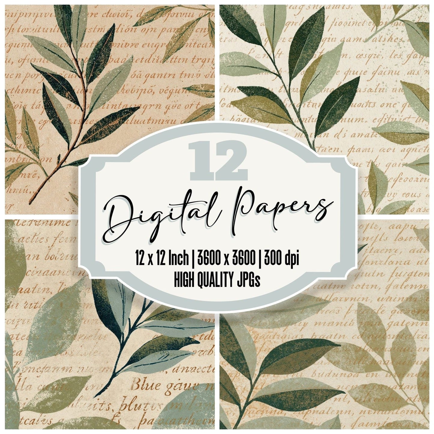 Woodblock Olive Script Sage Oatmeal Digital Paper Pack (DDD012517)