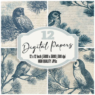 Woodblock Owl Pine Slate Buttercream Digital Paper Pack (DDD012538)