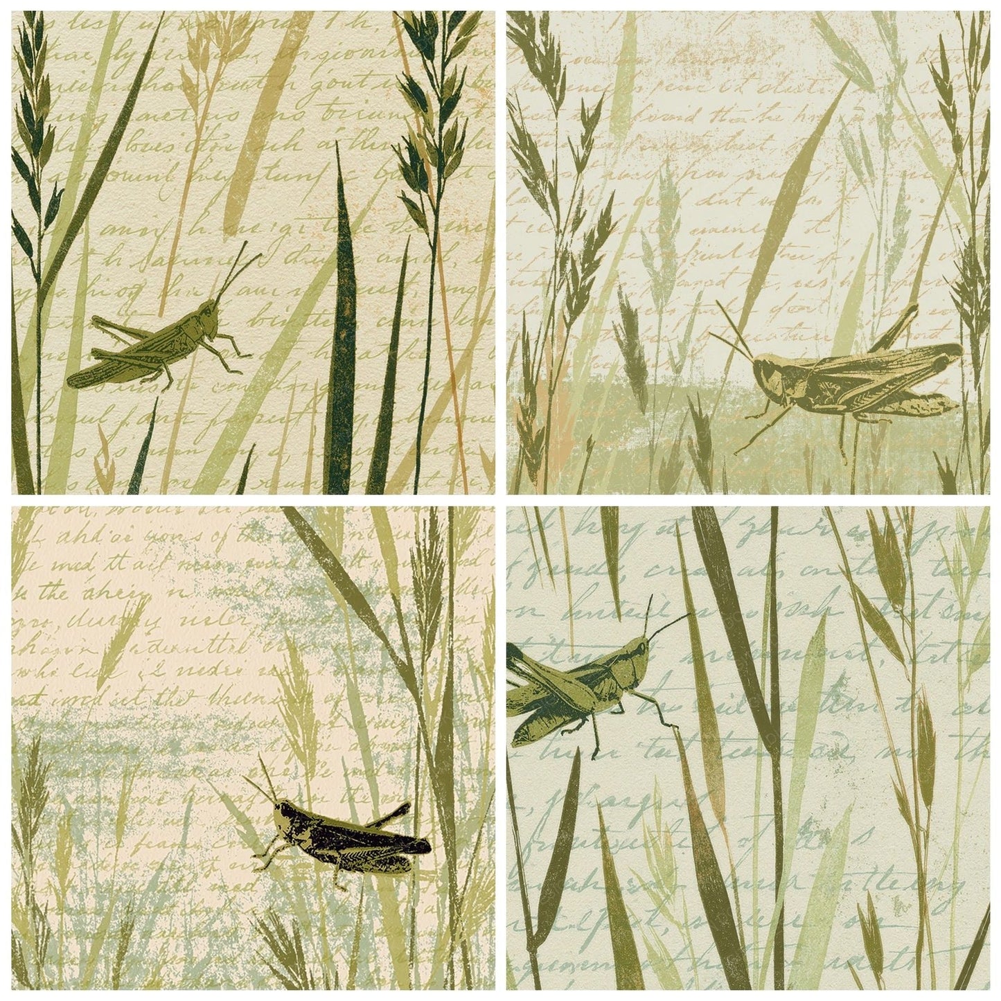 Woodblock Grasshopper Meadow Olive Digital Paper Pack (DDD012591)