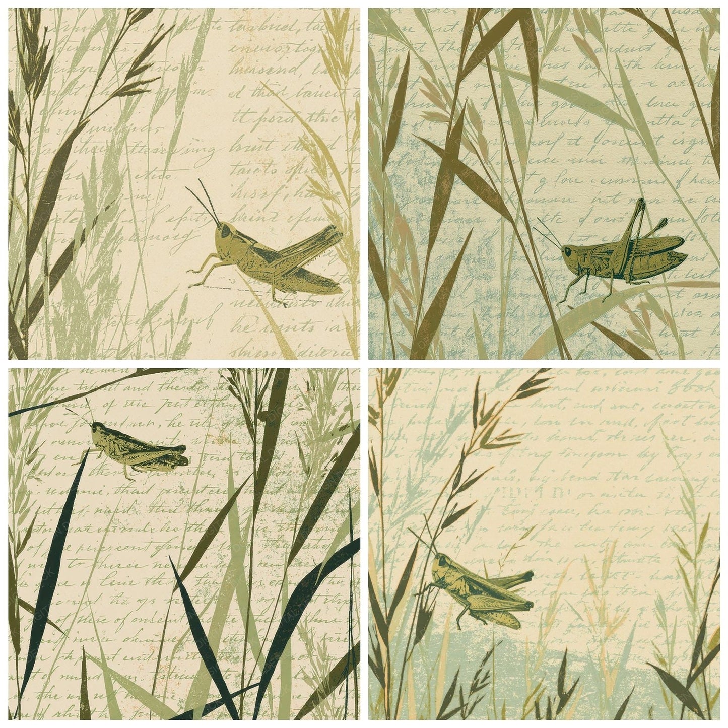 Woodblock Grasshopper Meadow Olive Digital Paper Pack (DDD012591)