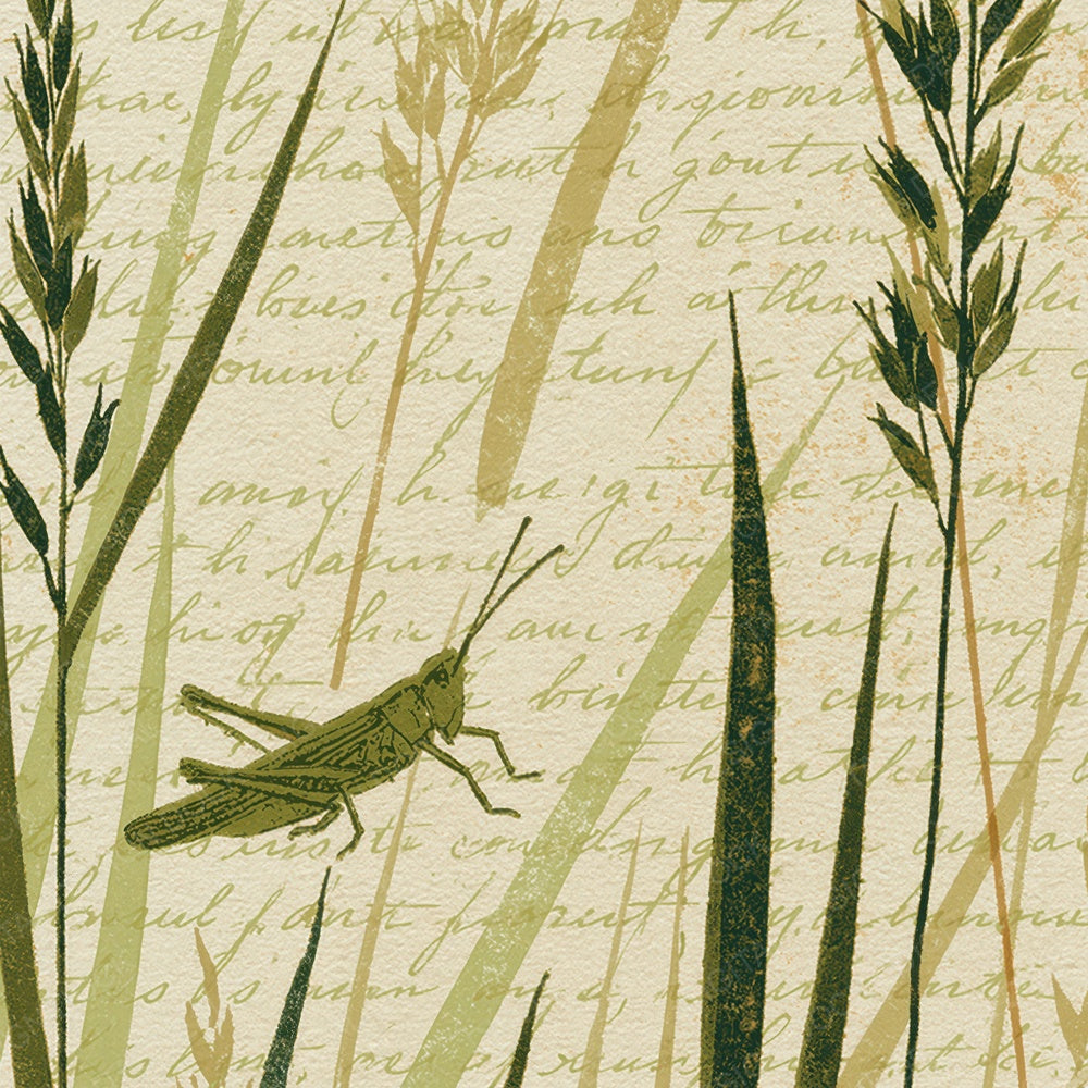 Woodblock Grasshopper Meadow Olive Digital Paper Pack (DDD012591)