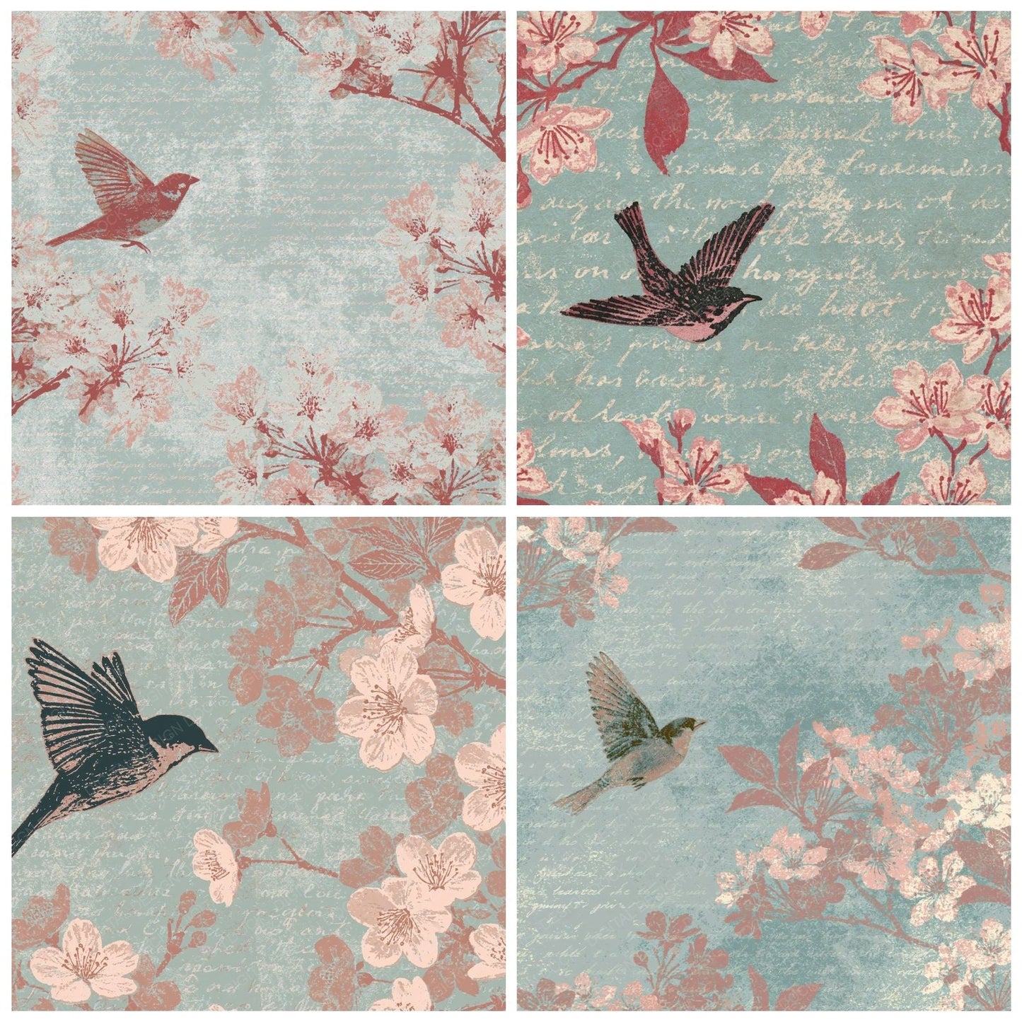 Woodblock Sparrow Cherry Blossom Digital Paper Pack (DDD012601)