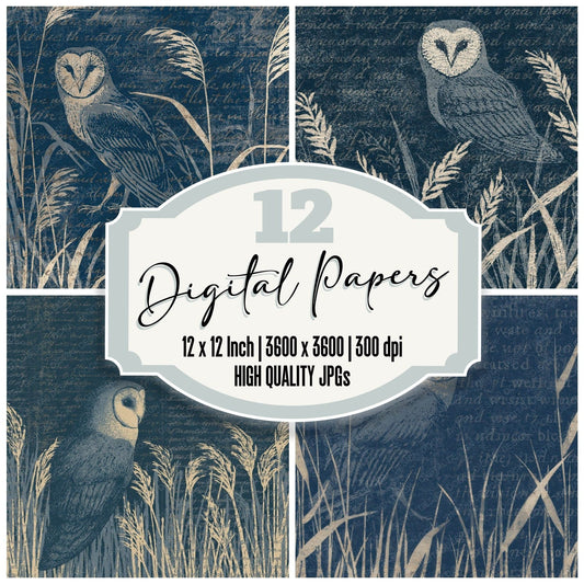 Woodblock Barn Owl Midnight Digital Paper Pack (DDD012611)