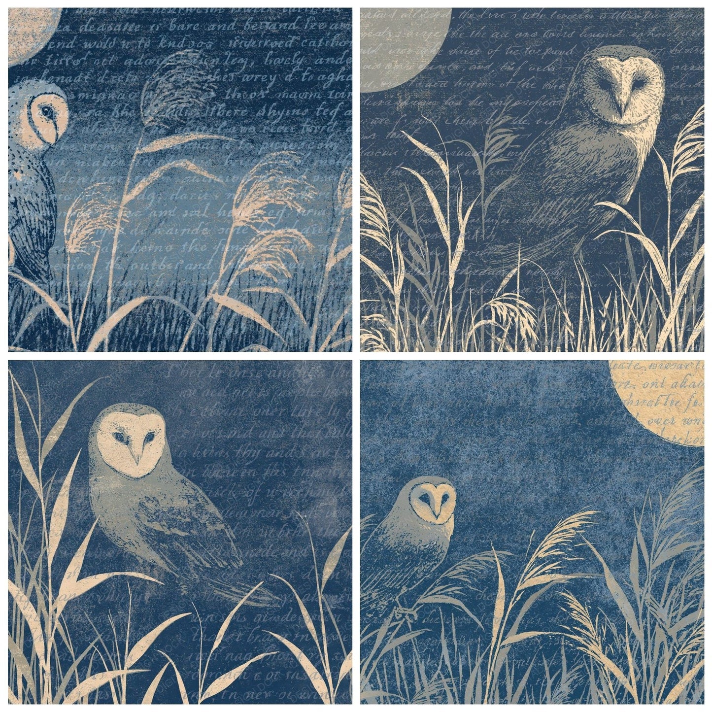Woodblock Barn Owl Midnight Digital Paper Pack (DDD012611)