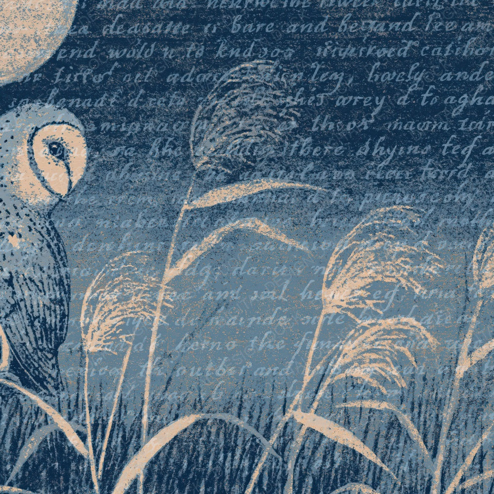 Woodblock Barn Owl Midnight Digital Paper Pack (DDD012611)