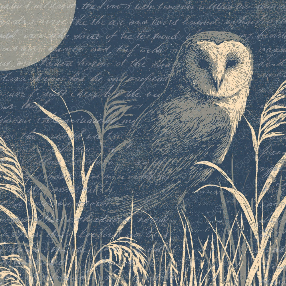 Woodblock Barn Owl Midnight Digital Paper Pack (DDD012611)