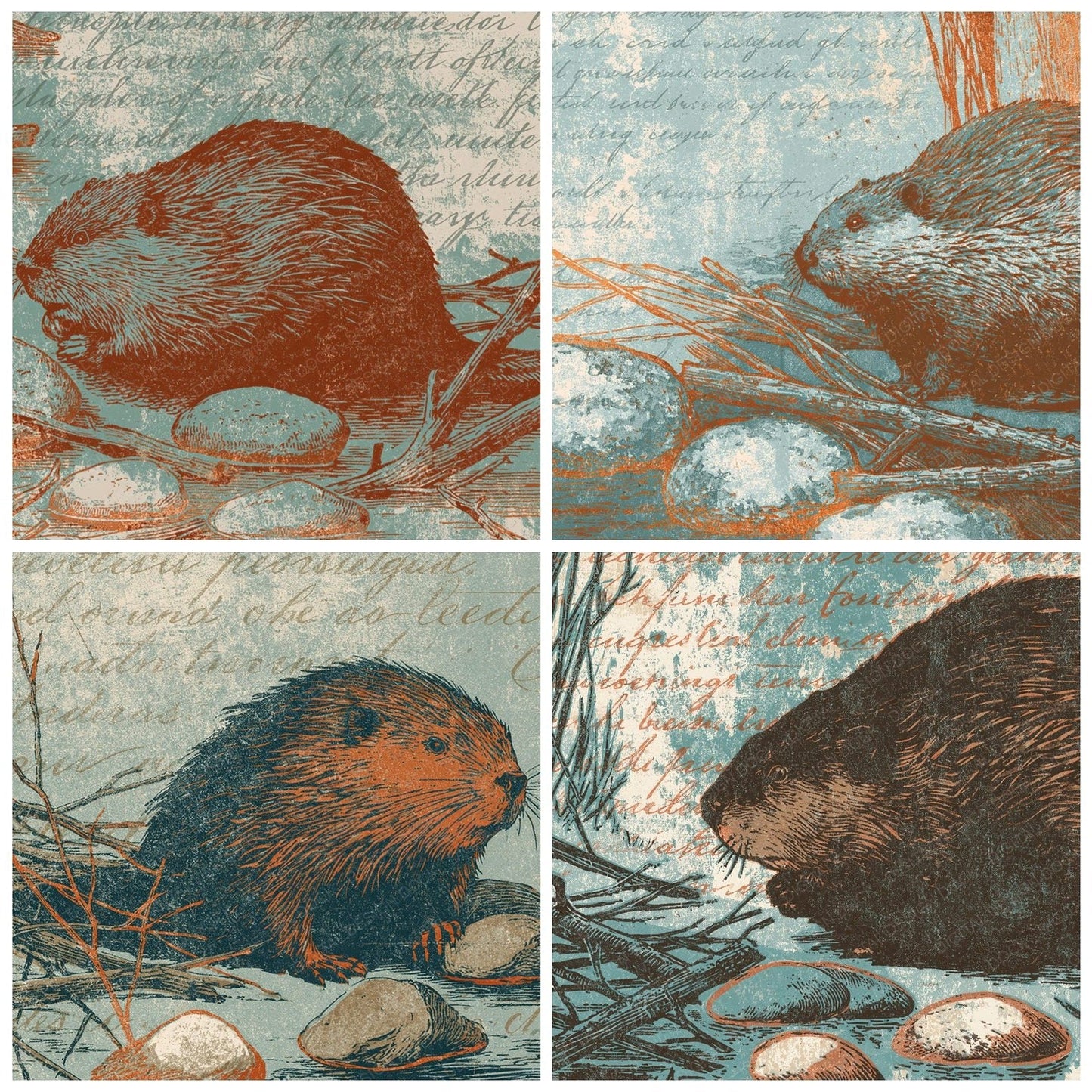 Woodblock Beaver Stone Walnut Digital Paper Pack (DDD012612)