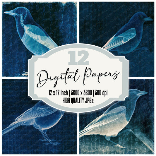 X Ray Magpie Sapphire Navy Digital Paper Pack (DDD012623)