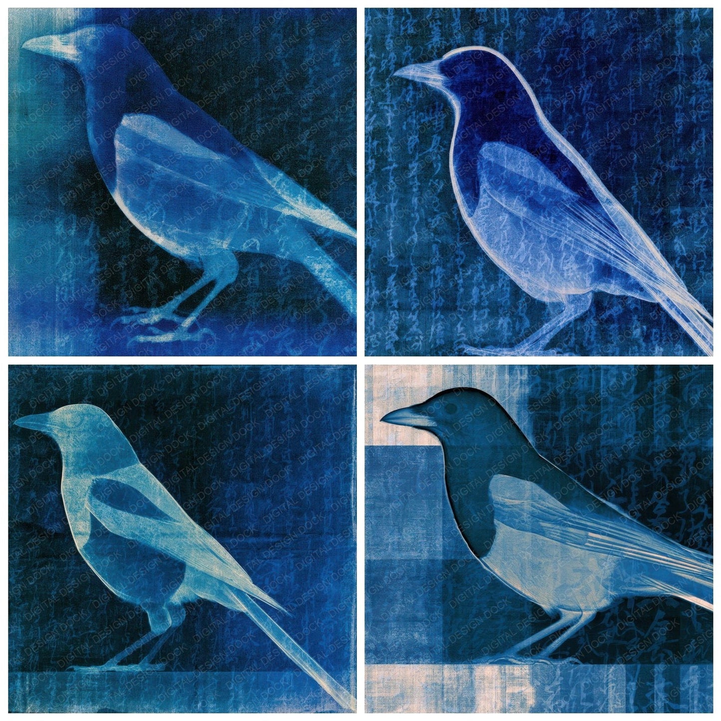 X Ray Magpie Sapphire Navy Digital Paper Pack (DDD012623)
