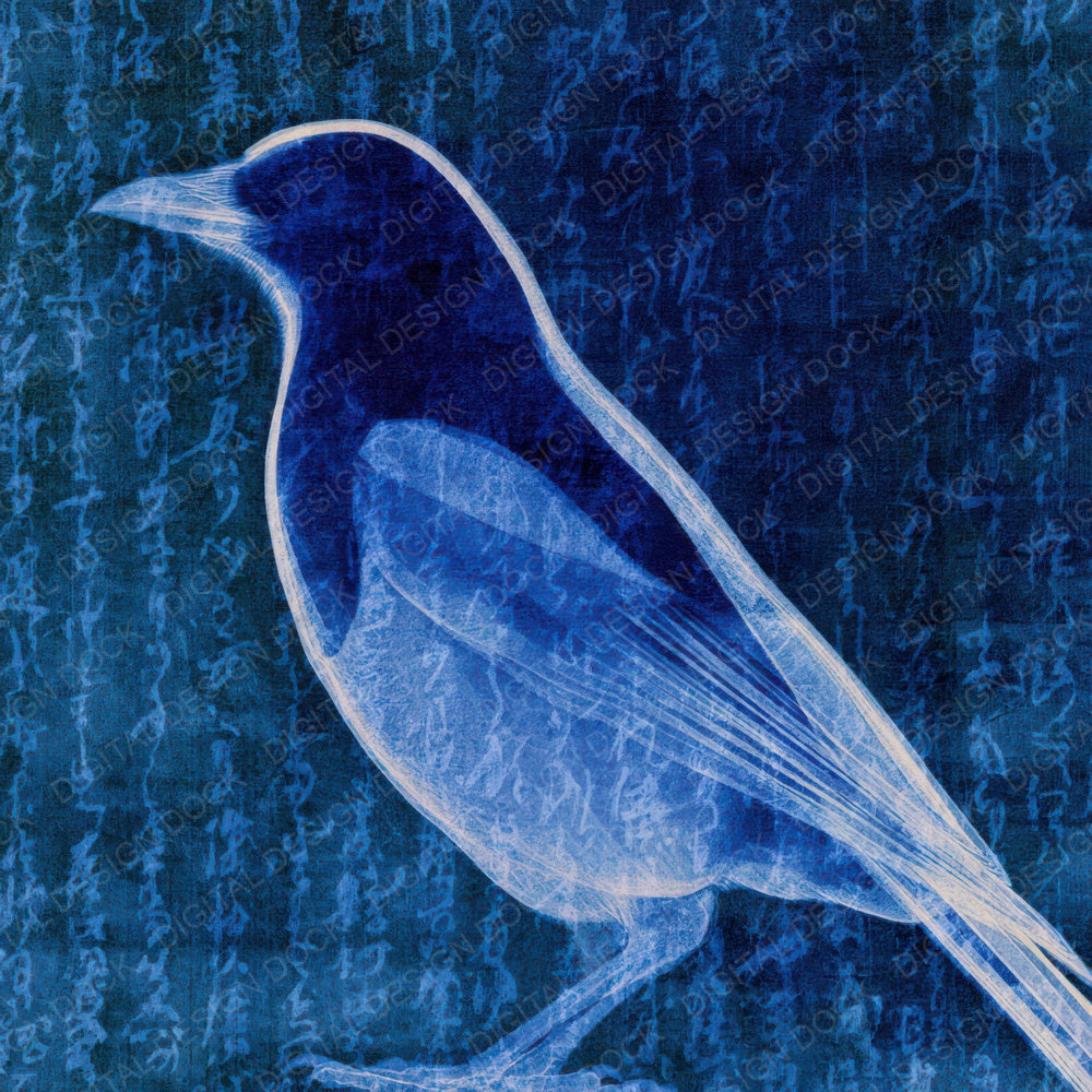 X Ray Magpie Sapphire Navy Digital Paper Pack (DDD012623)
