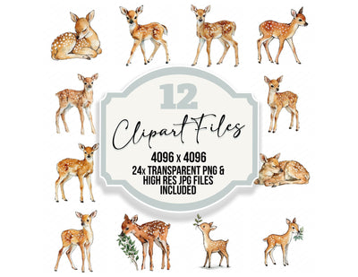 Cute Watercolour Baby Deer Clipart Set (DDD012645)