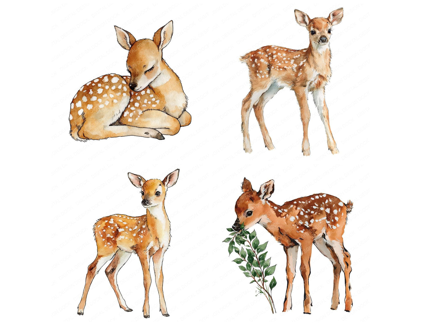 Cute Watercolour Baby Deer Clipart Set (DDD012645)