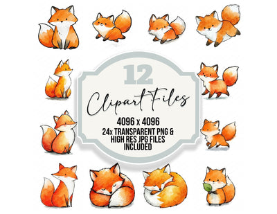Cute Watercolour Fox Clipart Set (DDD012647)