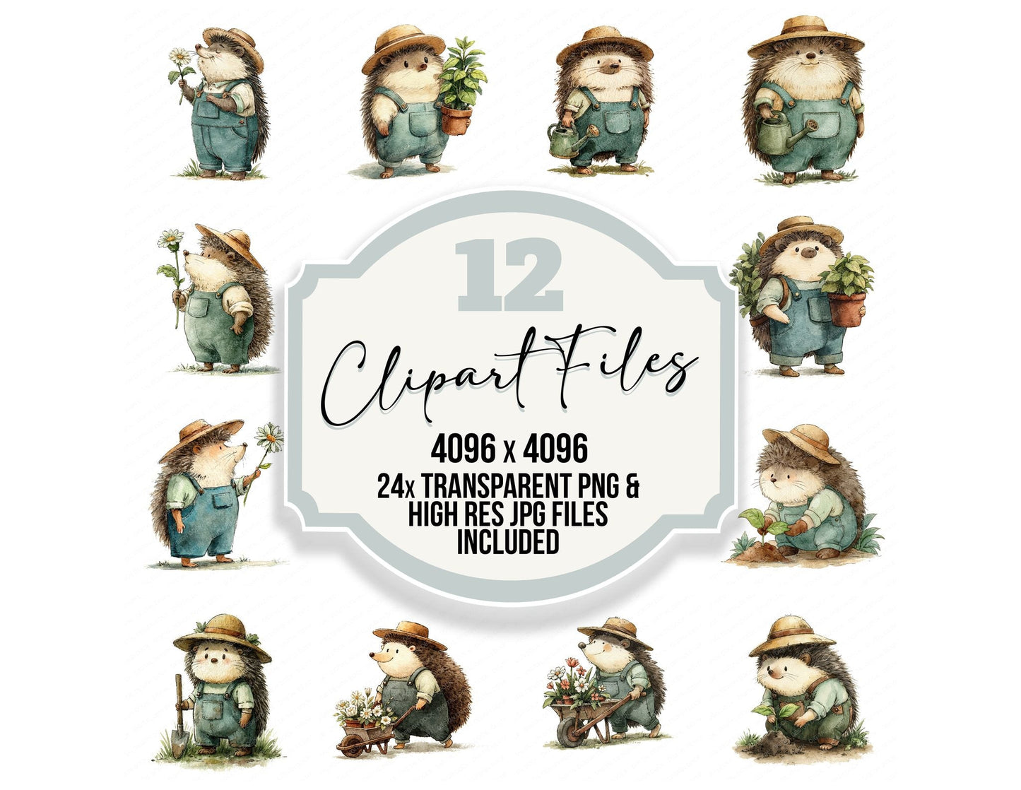 Funny Gardener Hedgehog Character Clipart Set (DDD012655)