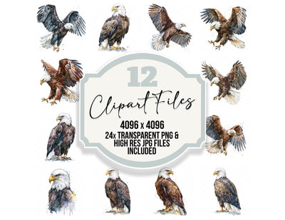 Realistic Bald Eagle Clipart Set (DDD012660)
